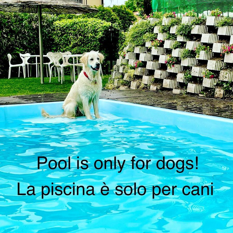 Appartamenti Casa Lory Bellagio Buitenkant foto